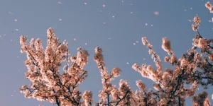 Self care tips for long lasting mindfulness